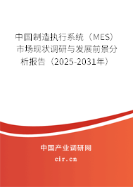 中國制造執(zhí)行系統(tǒng)（MES）市場現(xiàn)狀調(diào)研與發(fā)展前景分析報告（2025-2031年）