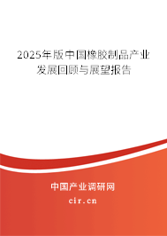 2025年版中國橡膠制品產(chǎn)業(yè)發(fā)展回顧與展望報告