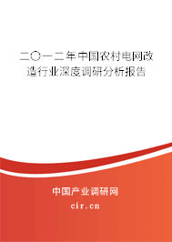 二〇一二年中國(guó)農(nóng)村電網(wǎng)改造行業(yè)深度調(diào)研分析報(bào)告