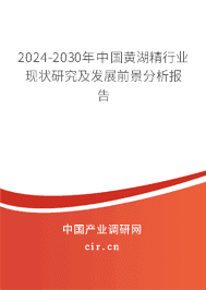 2023-2029年中國黃湖精行業(yè)現(xiàn)狀研究及發(fā)展前景分析報(bào)告