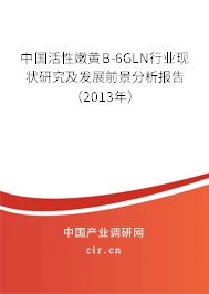 中國活性嫩黃B-6GLN行業(yè)現(xiàn)狀研究及發(fā)展前景分析報告（2013年）