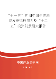 “十一五”期間中國生物質(zhì)能發(fā)電運(yùn)行潛力及“十二五”投資前景研究報(bào)告