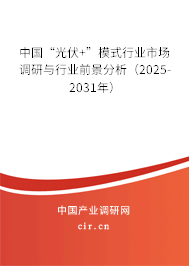 中國“光伏+”模式行業(yè)市場調(diào)研與行業(yè)前景分析（2025-2031年）