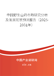 中國野生山藥市場研究分析及發(fā)展前景預(yù)測報告（2025-2031年）