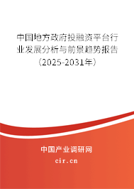 中國(guó)地方政府投融資平臺(tái)行業(yè)發(fā)展分析與前景趨勢(shì)報(bào)告（2025-2031年）