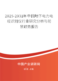 2025-2031年中國地下電力電纜識別儀行業(yè)研究分析與前景趨勢報告