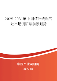 2025-2031年中國(guó)紅外線燃?xì)庠钍袌?chǎng)調(diào)研與前景趨勢(shì)