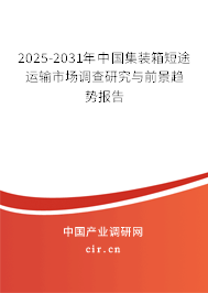 2025-2031年中國(guó)集裝箱短途運(yùn)輸市場(chǎng)調(diào)查研究與前景趨勢(shì)報(bào)告