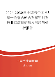 2024-2030年全球與中國(guó)MS聚合物混合粘合劑和密封劑行業(yè)深度調(diào)研與發(fā)展趨勢(shì)分析報(bào)告