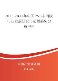 2025-2031年中國(guó)PVB中間膜行業(yè)發(fā)展研究與前景趨勢(shì)分析報(bào)告