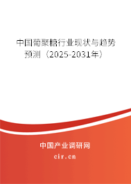 中國葡聚糖行業(yè)現(xiàn)狀與趨勢預(yù)測（2025-2031年）