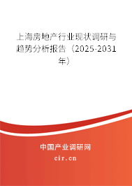 上海房地產(chǎn)行業(yè)現(xiàn)狀調(diào)研與趨勢(shì)分析報(bào)告（2025-2031年）