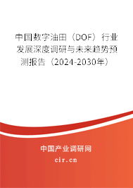 中國(guó)數(shù)字油田（DOF）行業(yè)發(fā)展深度調(diào)研與未來趨勢(shì)預(yù)測(cè)報(bào)告（2024-2030年）