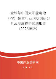 全球與中國太陽能電池（PV）裝置行業(yè)現(xiàn)狀調(diào)研分析及發(fā)展趨勢預(yù)測報告（2025年版）