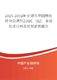 2025-2031年全球與中國橡膠硫化促進(jìn)劑ZDBC（BZ）發(fā)展現(xiàn)狀分析及前景趨勢報(bào)告