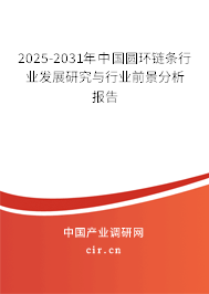 2025-2031年中國圓環(huán)鏈條行業(yè)發(fā)展研究與行業(yè)前景分析報告