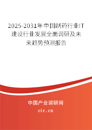 2025-2031年中國(guó)制藥行業(yè)IT建設(shè)行業(yè)發(fā)展全面調(diào)研及未來(lái)趨勢(shì)預(yù)測(cè)報(bào)告