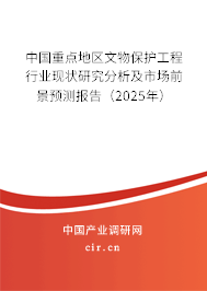 中國重點(diǎn)地區(qū)文物保護(hù)工程行業(yè)現(xiàn)狀研究分析及市場(chǎng)前景預(yù)測(cè)報(bào)告（2025年）