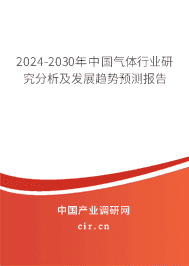 2023-2029年中國氣體行業(yè)研究分析及發(fā)展趨勢預(yù)測報告