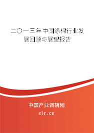 二〇一三年中國滌棉行業(yè)發(fā)展回顧與展望報告