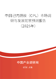 中國(guó)己內(nèi)酰胺（CPL）市場(chǎng)調(diào)研與發(fā)展前景預(yù)測(cè)報(bào)告（2025年）