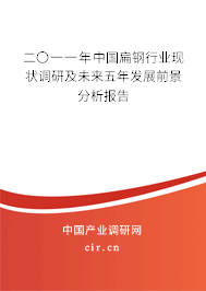 二〇一一年中國扁鋼行業(yè)現狀調研及未來五年發(fā)展前景分析報告