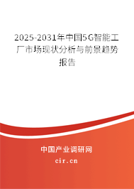 2025-2031年中國(guó)5G智能工廠市場(chǎng)現(xiàn)狀分析與前景趨勢(shì)報(bào)告