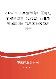 2024-2030年全球與中國電動車服務(wù)設(shè)備（EVSE）行業(yè)發(fā)展深度調(diào)研與未來趨勢預(yù)測報告
