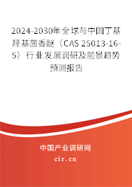 2024-2030年全球與中國丁基羥基茴香醚（CAS 25013-16-5）行業(yè)發(fā)展調(diào)研及前景趨勢預測報告
