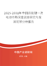 2025-2031年中國(guó)高能鋰一次電池市場(chǎng)深度調(diào)查研究與發(fā)展前景分析報(bào)告