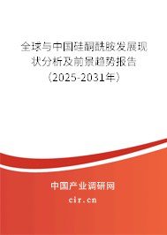 全球與中國硅酮酰胺發(fā)展現(xiàn)狀分析及前景趨勢報告（2025-2031年）
