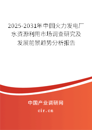 2025-2031年中國火力發(fā)電廠水資源利用市場調(diào)查研究及發(fā)展前景趨勢(shì)分析報(bào)告