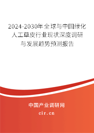 2024-2030年全球與中國綠化人工草皮行業(yè)現(xiàn)狀深度調研與發(fā)展趨勢預測報告