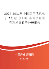 2025-2031年中國民用飛機(jī)電子飛行包（EFB）市場調(diào)查研究及發(fā)展趨勢分析報(bào)告