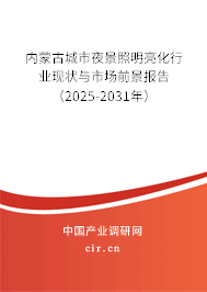 內(nèi)蒙古城市夜景照明亮化行業(yè)現(xiàn)狀與市場(chǎng)前景報(bào)告（2025-2031年）