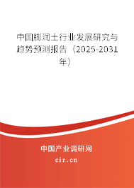 中國(guó)膨潤(rùn)土行業(yè)發(fā)展研究與趨勢(shì)預(yù)測(cè)報(bào)告（2025-2031年）