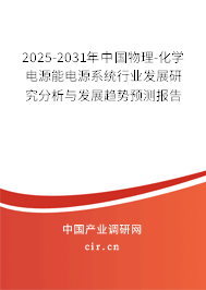 2025-2031年中國物理-化學(xué)電源能電源系統(tǒng)行業(yè)發(fā)展研究分析與發(fā)展趨勢預(yù)測報告