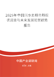 2025年中國污水處理市場現(xiàn)狀調(diào)查與未來發(fā)展前景趨勢報告