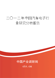 二〇一二年中國汽車電子行業(yè)研究分析報告