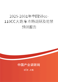 2025-2031年中國50cc-110CC大跑車市場調研及前景預測報告