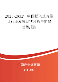 2025-2031年中國插入式流量計行業(yè)發(fā)展現(xiàn)狀分析與前景趨勢報告