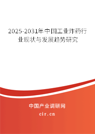 2025-2031年中國工業(yè)炸藥行業(yè)現(xiàn)狀與發(fā)展趨勢(shì)研究