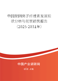 中國聚陰離子纖維素發(fā)展現(xiàn)狀分析與前景趨勢(shì)報(bào)告（2025-2031年）