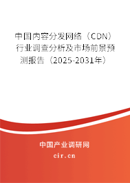 中國內容分發(fā)網(wǎng)絡（CDN）行業(yè)調查分析及市場前景預測報告（2025-2031年）