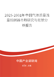 2025-2031年中國氣體質量流量控制器市場研究與前景分析報告