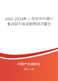 2025-2031年上海化學纖維行業(yè)調(diào)研與發(fā)展趨勢研究報告
