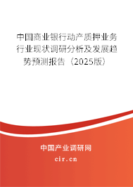 中國商業(yè)銀行動產(chǎn)質(zhì)押業(yè)務(wù)行業(yè)現(xiàn)狀調(diào)研分析及發(fā)展趨勢預(yù)測報告（2025版）