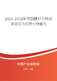2025-2031年中國(guó)挑針市場(chǎng)調(diào)查研究與前景分析報(bào)告