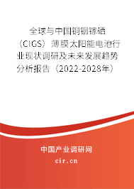 全球與中國(guó)銅銦鎵硒（CIGS）薄膜太陽能電池行業(yè)現(xiàn)狀調(diào)研及未來發(fā)展趨勢(shì)分析報(bào)告（2022-2028年）