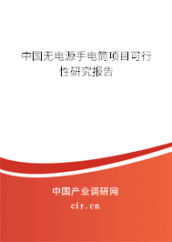 中國無電源手電筒項目可行性研究報告